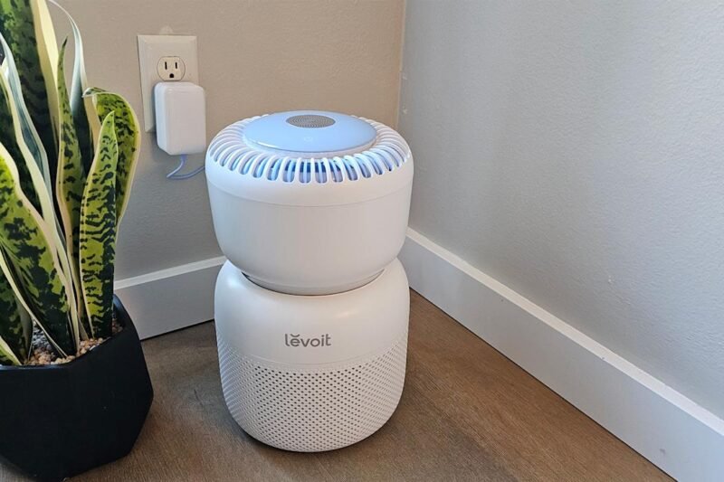 8 Best Air Purifiers for Allergies in 2026