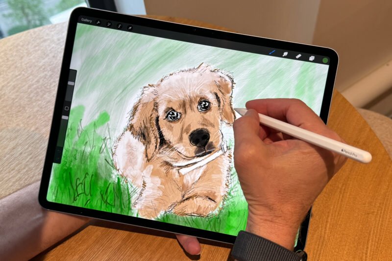 8 Best Graphics Tablets for Beginners in 2026